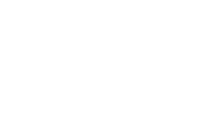 BSL-LOGO-WHITE