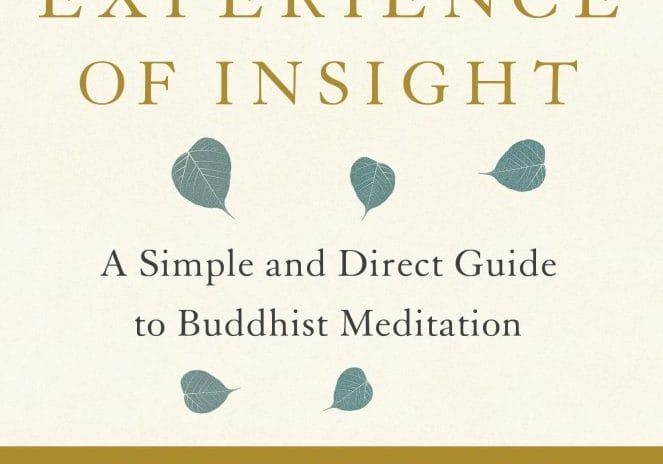 Experience-Of-Insight Experience-Of-Insight